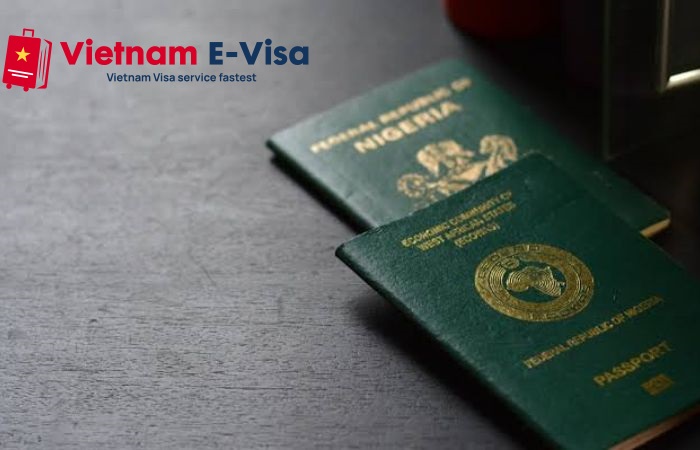 Vietnam visa requirements for Nigerian citizens - types of visas