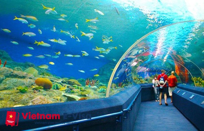 top 10 things to do in Nha Trang - Institute of Oceanography