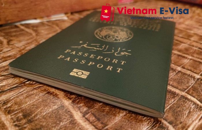 Vietnam visa requirements for Algerian citizens - visa procedures