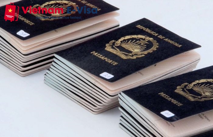 Vietnam visa requirements for Angola citizens - visa types