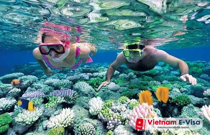 Top 10 trải nghiệm du lịch nên làm tại Phú Quốc - lặn biển