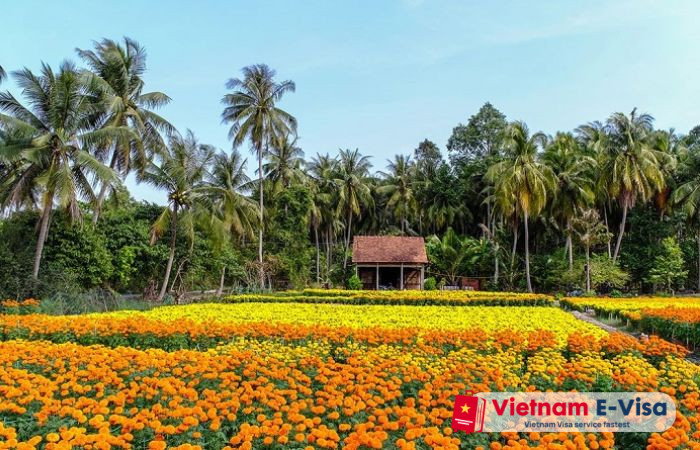Top 10 things to do in Can Tho - ba bo flower garden