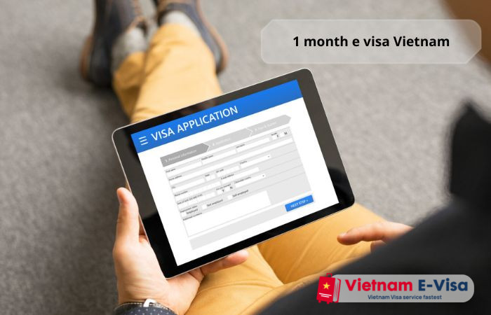 1 month e visa Vietnam - essential documents
