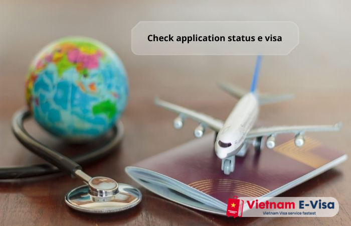 Check application status e visa - instructions 
