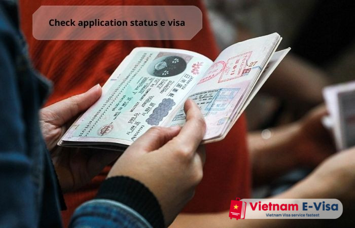 Check application status e visa - FAQs