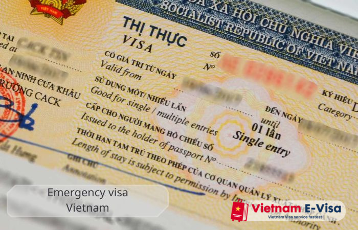 Emergency visa Vietnam - Applicable objects
