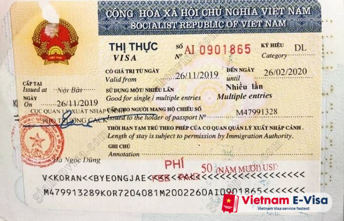 entry visa vietnam - multiple entry visa